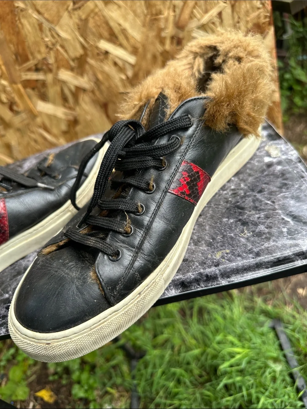 Roberto Cavalli Black Leather Sneakers with Red Accent and Gold Emblem